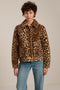 A lady in a leopard faux fur jacket and blue jeans.